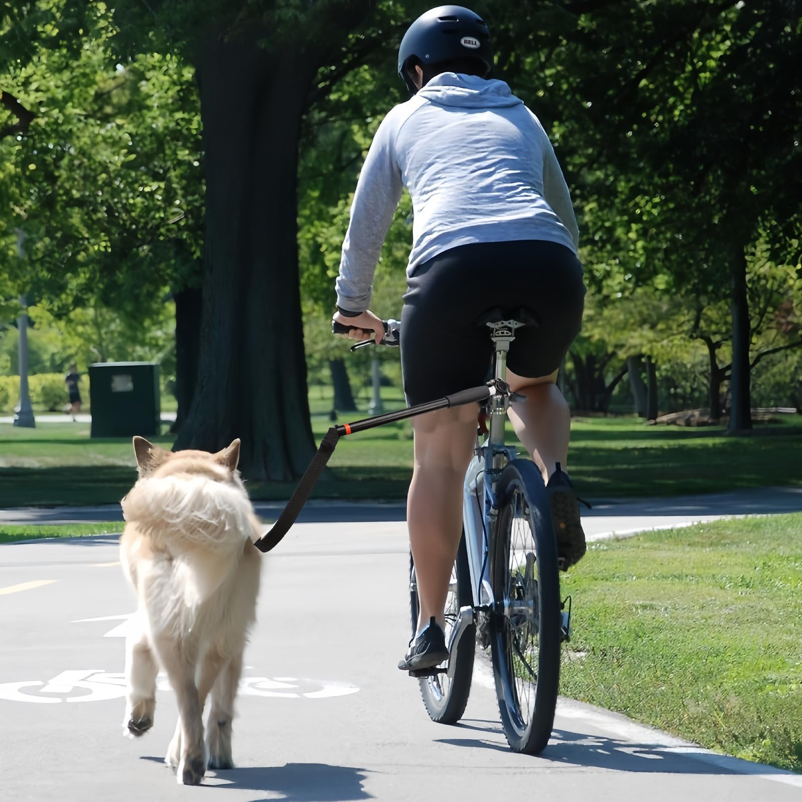 Fahrradleine Hund, für Sicheres Radfahren mit Hund, Fahrrad Hundeleine mit Abstandhalter und Inbusschlüssel, Hände Frei für Training Laufen Joggen und Outdoor Aktivitäten