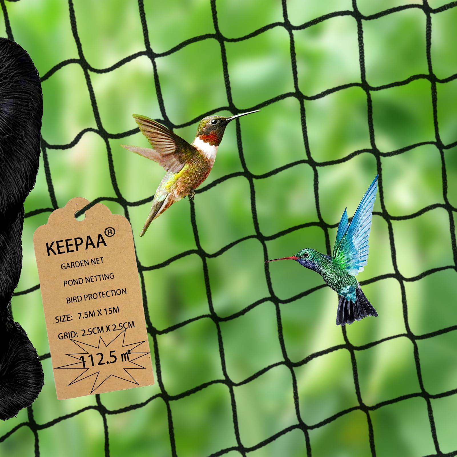 LINSOCLE Vogelbeschermingsnet, 10 x 10 m, vogelnet, zwart, net voor kippenren, volièrenet, vijvernet, gevogeltenet, geschikt voor de bescherming van fruitbomen, balkon en groenten tegen vogels