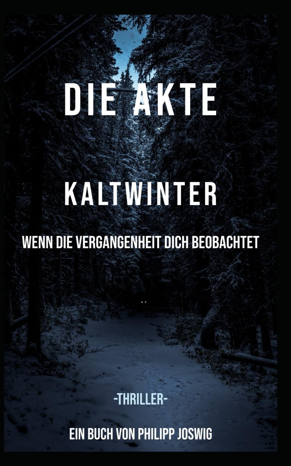 Die Akte Kaltwinter: Wenn die Vergangenheit dich beobachtet