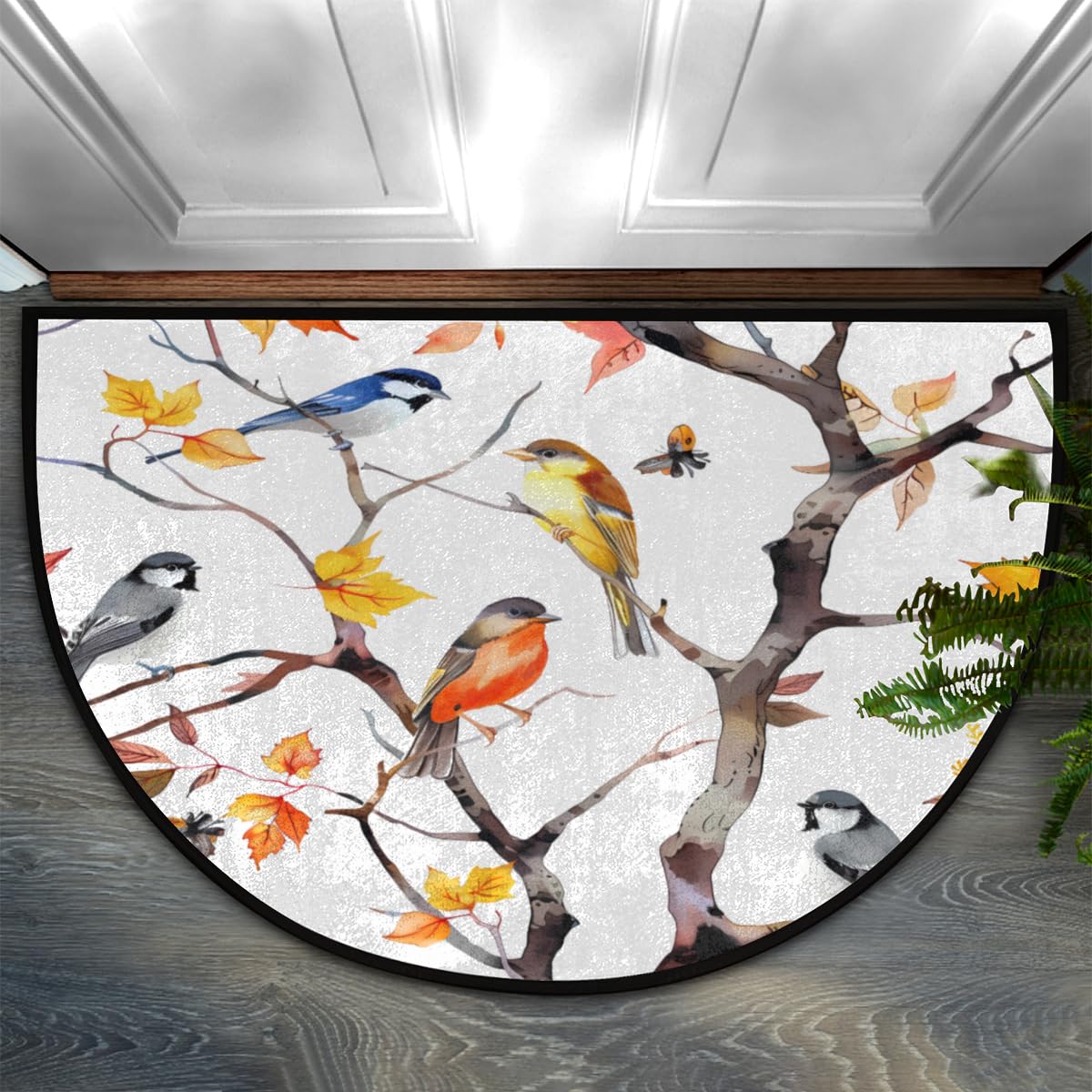 Paillasson antidérapant 61 x 91,4 cm lavable tapis demi-lune motif oiseaux pour maison cuisine
