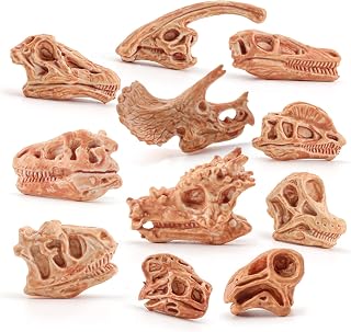 11PCS Mini Dinosaur Bones for Sandbox Kids Toys Realistic T-rex Skull Set Carnotaurus Velociraptot Brachiosaurus Oviraptor Nigersaurus Diplodocus Dilophosaurus Dracorex Triceratops