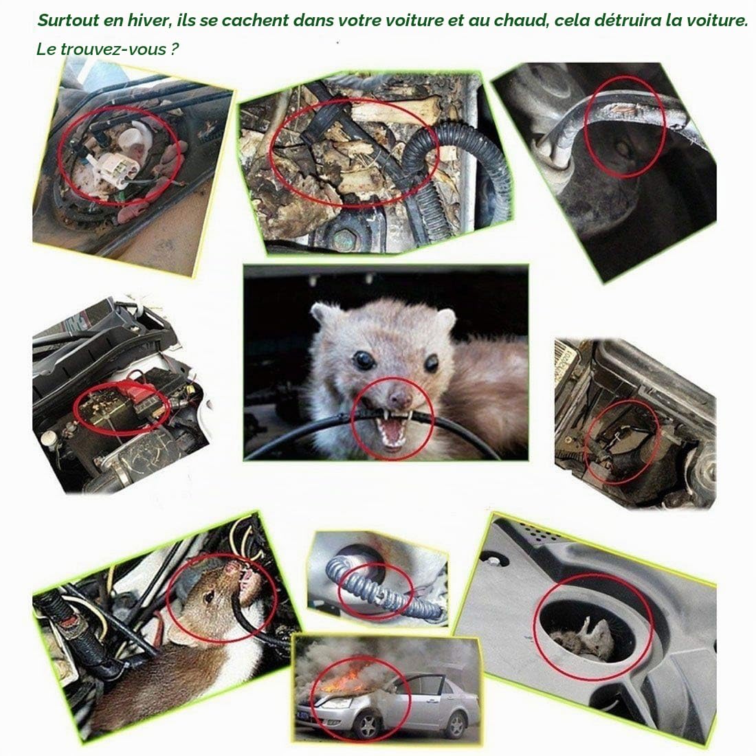 Répulsif à ultrasons pour souris, TOTMOX 12 V pour véhicule de voiture, rat, rongeur, animal, répulsif avec fonction flash LED, repousse en toute sécurité les parasites