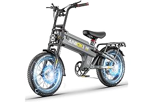 aniioki A8 Pro Max Electric Bike