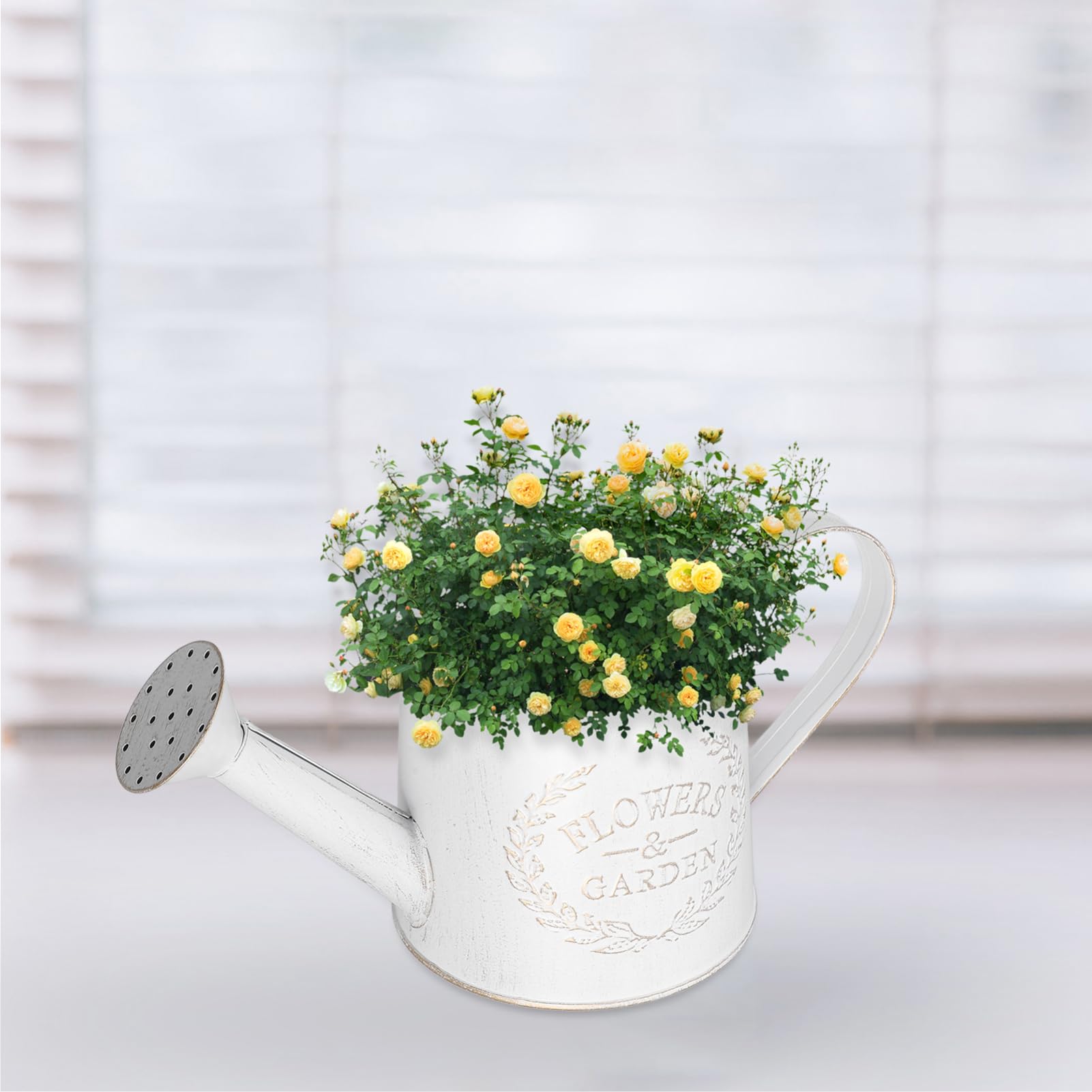 Milisten Arrosoir en métal avec bec verseur - Petit arrosoir galvanisé rustique avec poignée pour plantes d'intérieur ou d'extérieur - Blanc
