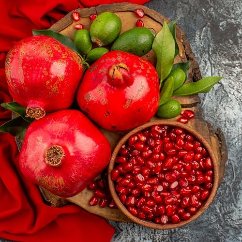 Miniatura 4 de Paquete de 2 plantas vivas de granada en maceta, arbusto de granada roja resistente, para jardines y macetas, raíces completas y fácil de plantar,