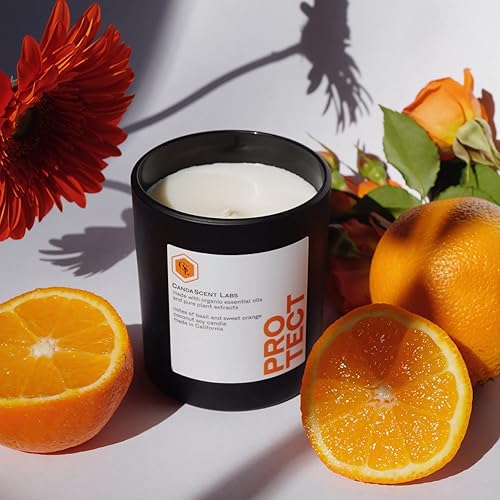 Miniatura 3 de Vela de bienestar: albahaca orgánica y naranja dulce Protect de CandaScent Labs: propiedades fortificantes en los ingredientes 100% botánicos,