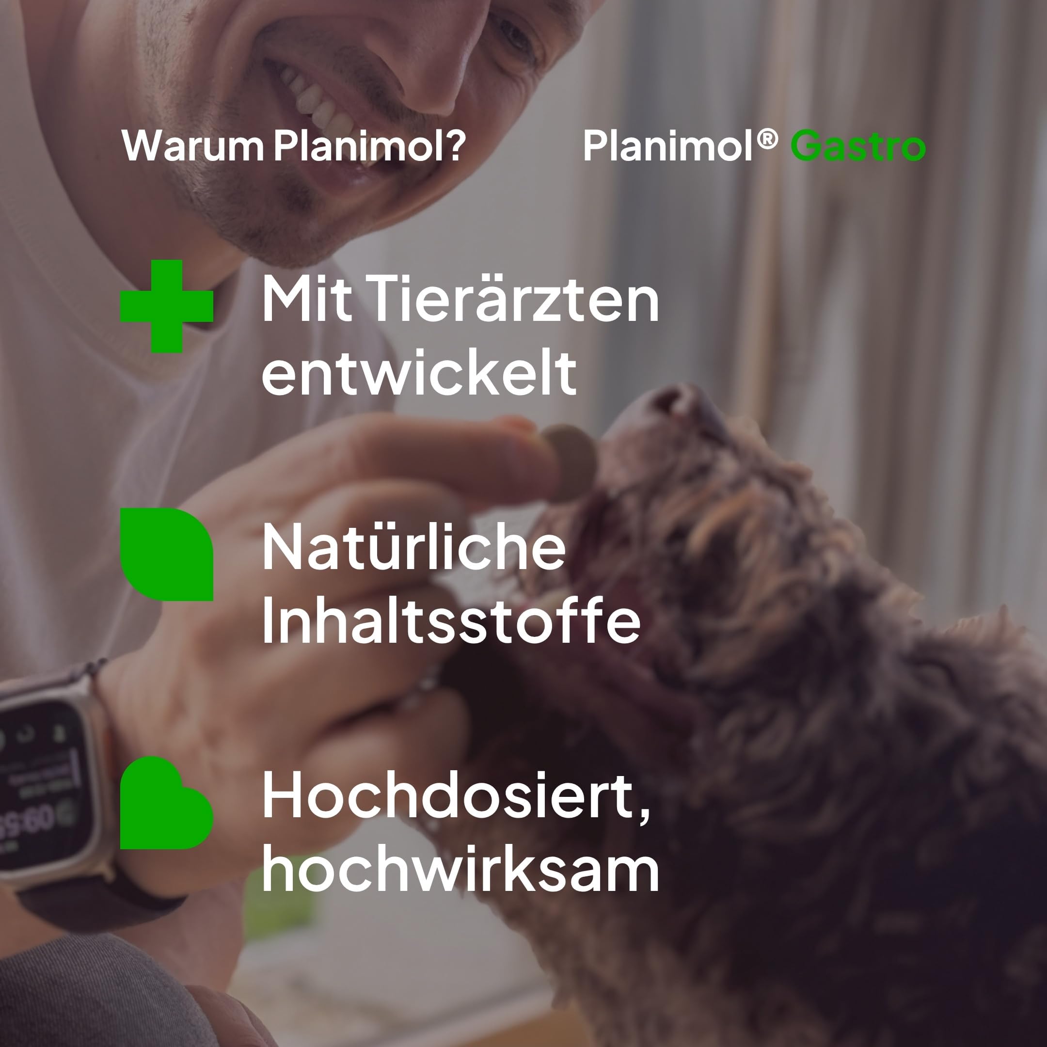 Gastro — Magensnack für Hunde — 100% natürlich — unterstützt bei empfindlichem Magen — unterstützt Magenschleimhaut & Säurebalance — 90 Tabletten