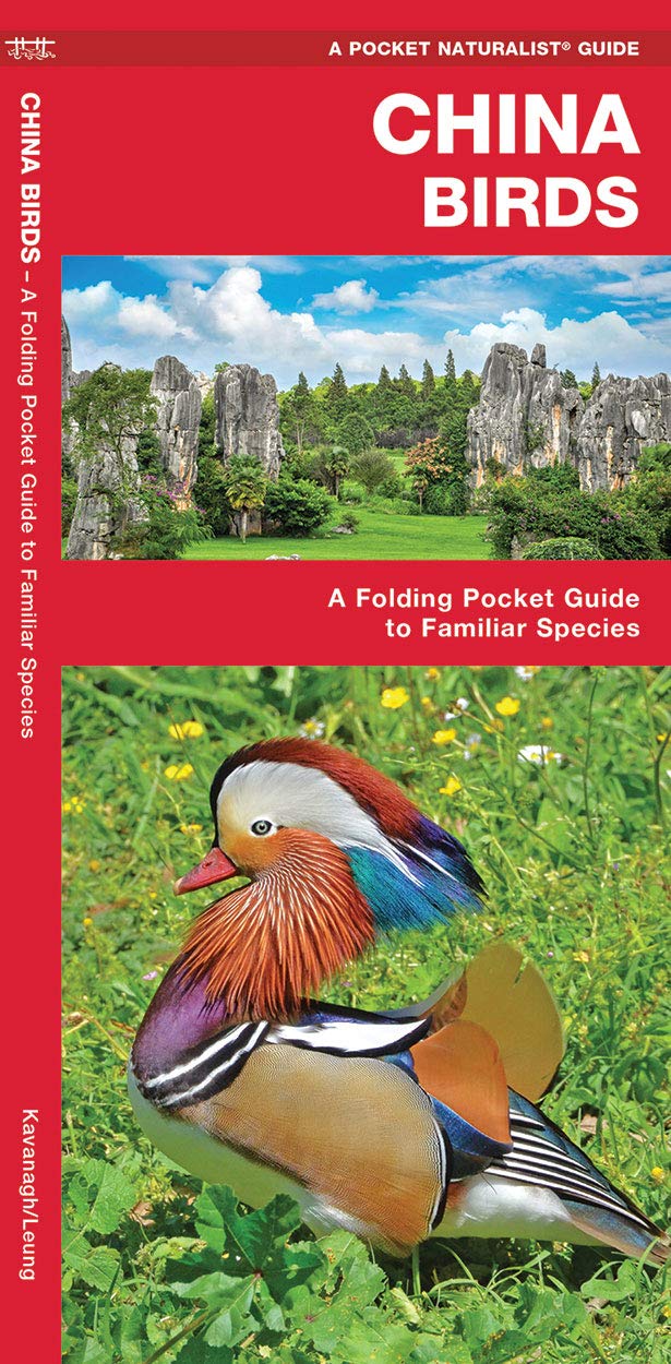 China Birds: A Folding Pocket Guide to Familiar Species (A Pocket Naturalist Guide) (Nature Observation International)