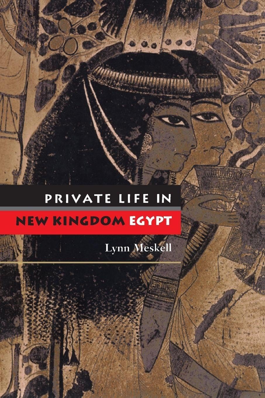 Private Life in New Kingdom Egypt, Meskell 9780691120584 Fast Free Shipping^+