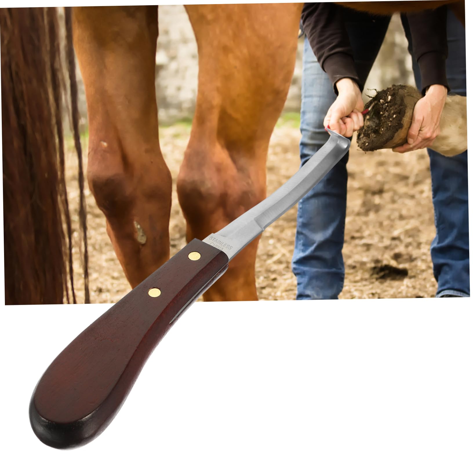 Couteau à Sabot Résistant la Rupture à Double Tranchant en Acier Inoxydable Poignée en Bois Ergonomique pour Usage Quotidien pour Soins des Sabots de Chevaux
