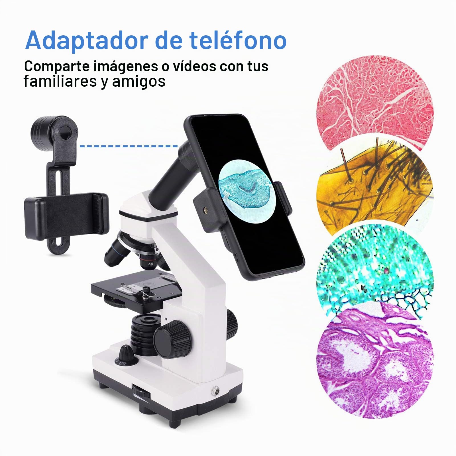 Microscopio Monocular Compuesto 40X-2000X para Niños, Adultos y Estudiantes - Microscopio de Precisión para Educación en Ciencias Biológicas con Kits - Metal y Vidrio - LED - Blanco