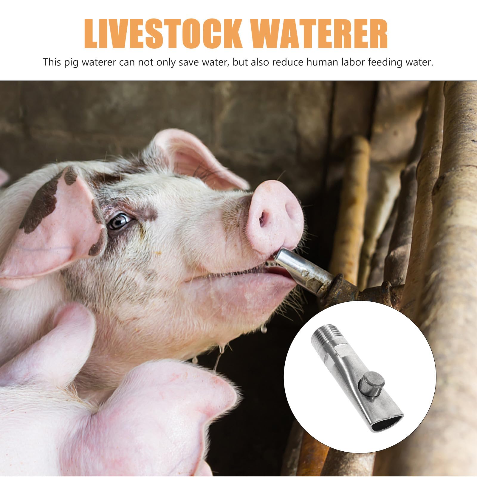 Ciieeo 5 Pezzi Abbeveratoio Automatico Strumento per Abbeverare Maiali in Acciaio Inossidabile per Suinetti Beccuccio in Rame Anti-spruzzo in Allevamenti Agricoli