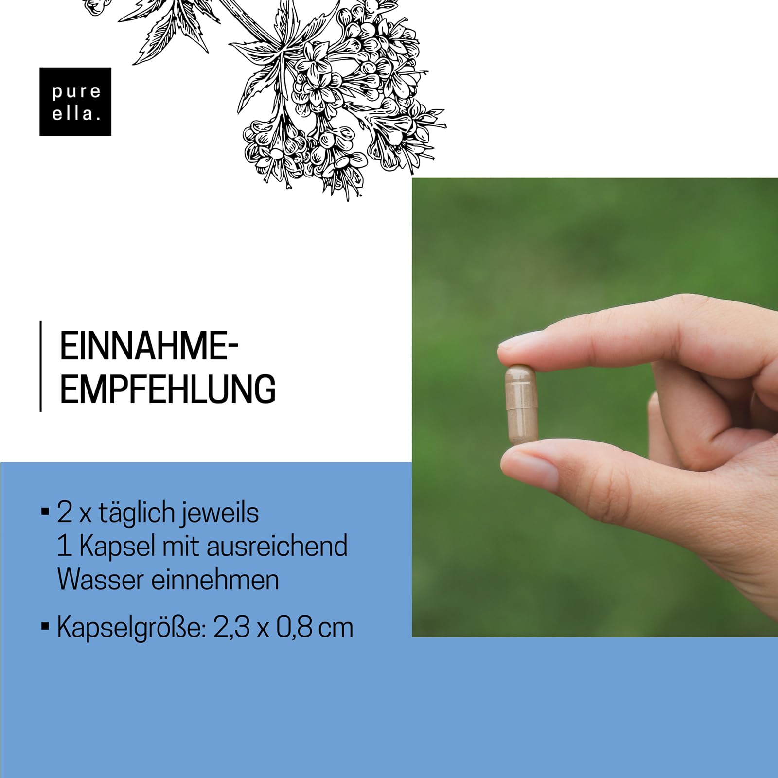 Pure Ella NERVENKRAFT - Baldrian Passionsblume Johanniskraut Kapseln - Vitamin B1 und Niacin für Nerven & Psyche - Laborgeprüft in Deutschland – Hochdosiert, 60 Vegane Kapseln