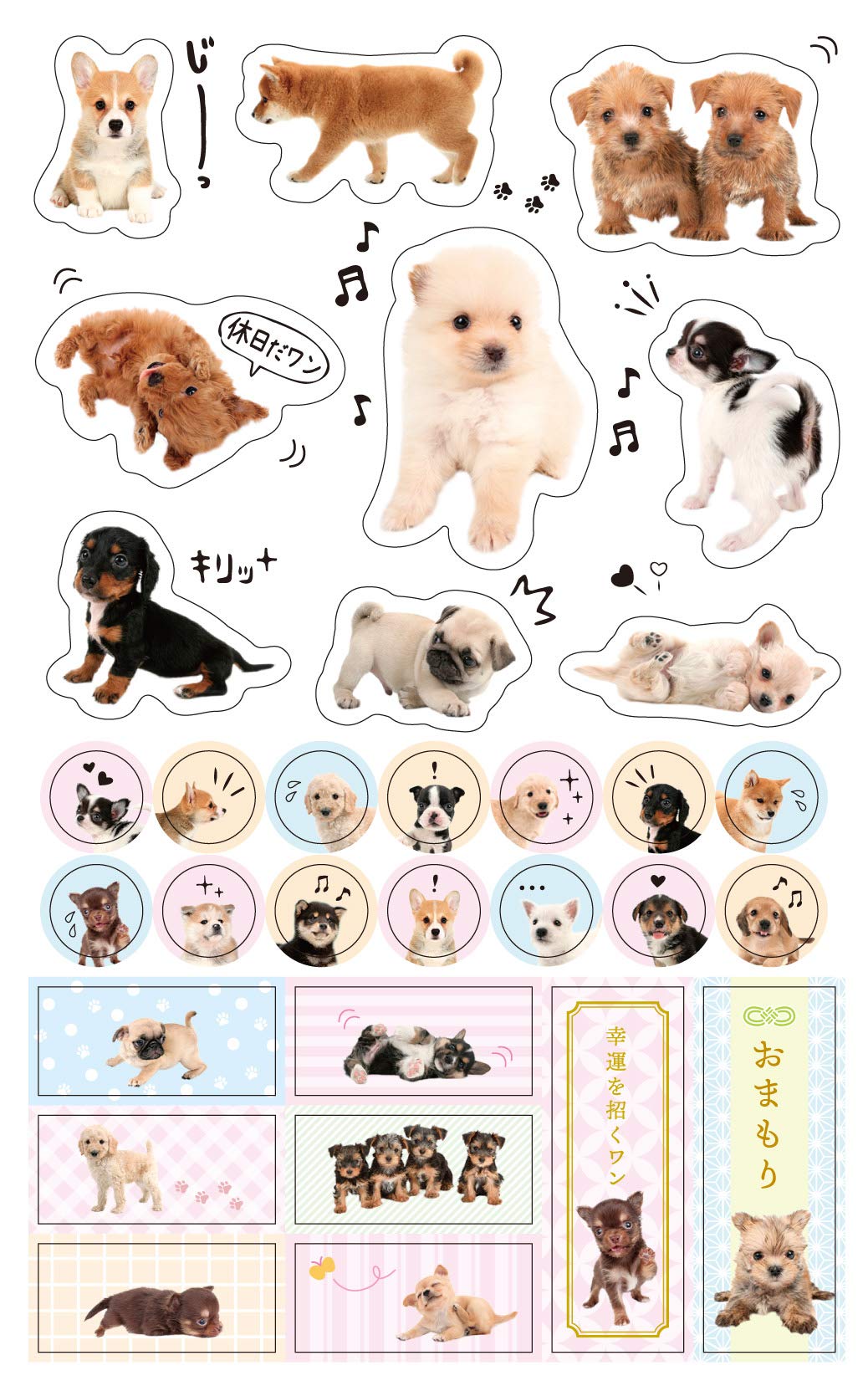 ふわふわこいぬdiary 21 インプレス手帳21 小川晃代 湯沢祐介 本 通販 Amazon