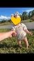 Customer image 1