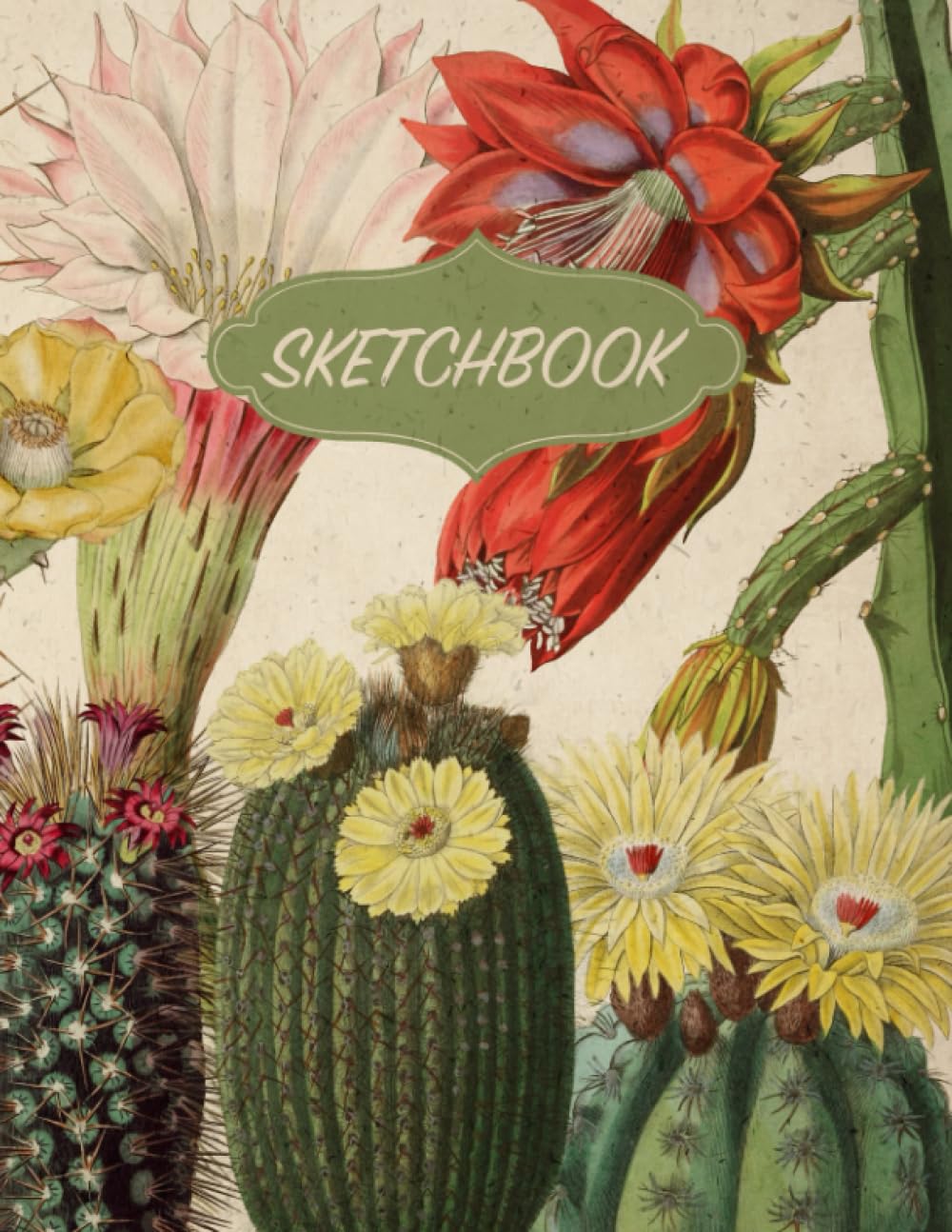 Cuadernos y Cuadernos de Bocetos