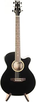 Amazon | Ashton アシュトン SL Series SL29CEQBK Slim-Line Acoustic