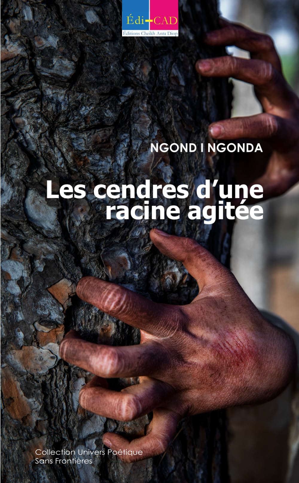 Les cendres d’une racine agitée