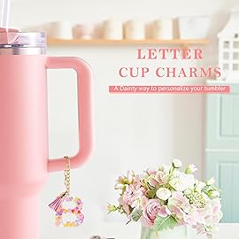 Letter Charm Accessories for Stanley Cup 1 PCS Cute Initial Keychain Handle Charm for Stanley Tumbler for Women Pink Letter B