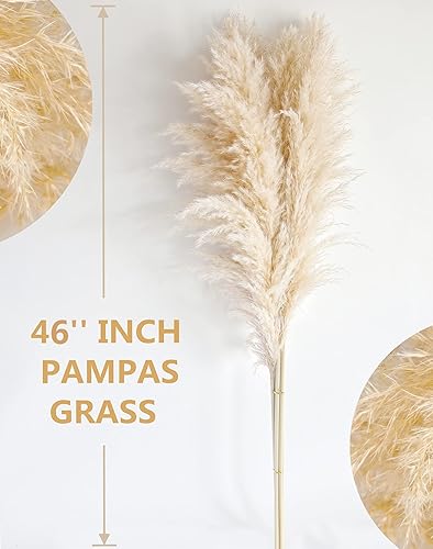 Miniatura 23 de 20 tallos naturales de 40 pulgadas para decoración con hierba de pampas, hierba de pampa alta para bodas, fiestas, granja, decoración bohemia