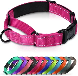 Padded Martingale Collar for Medium Dogs with Quick Release Buckle, Reflective Stitching, Hot Pink