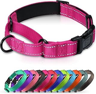 Neoprene Padded Martingale Collar for Dogs, Reflective Soft Nylon with Quick Release Buckle, Adjustable