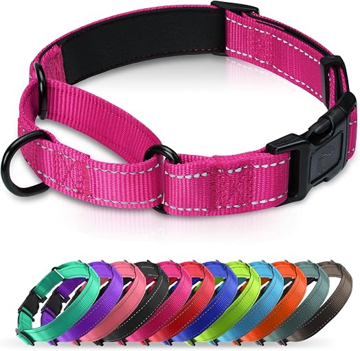 Martingale Collar for Dogs with Quick Release Buckle, Reflective Soft Padded & Escape Proof, Adjustable Nylon Dog Collars for Training & Daily Walking (Hotpink,M)