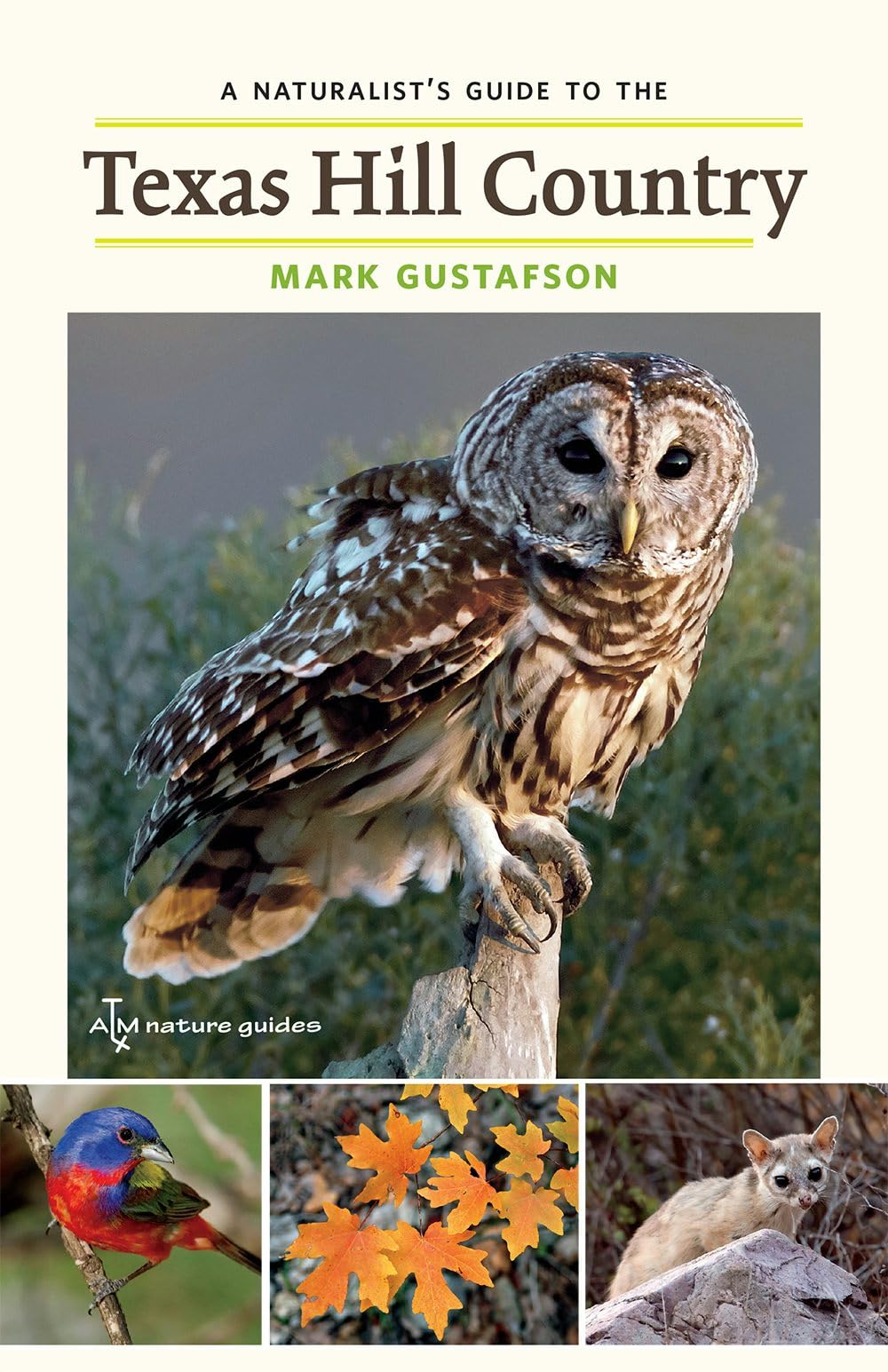 A Naturalist's Guide to the Texas Hill Country (Volume 50) (W. L. Moody Jr. Natural History Series)
