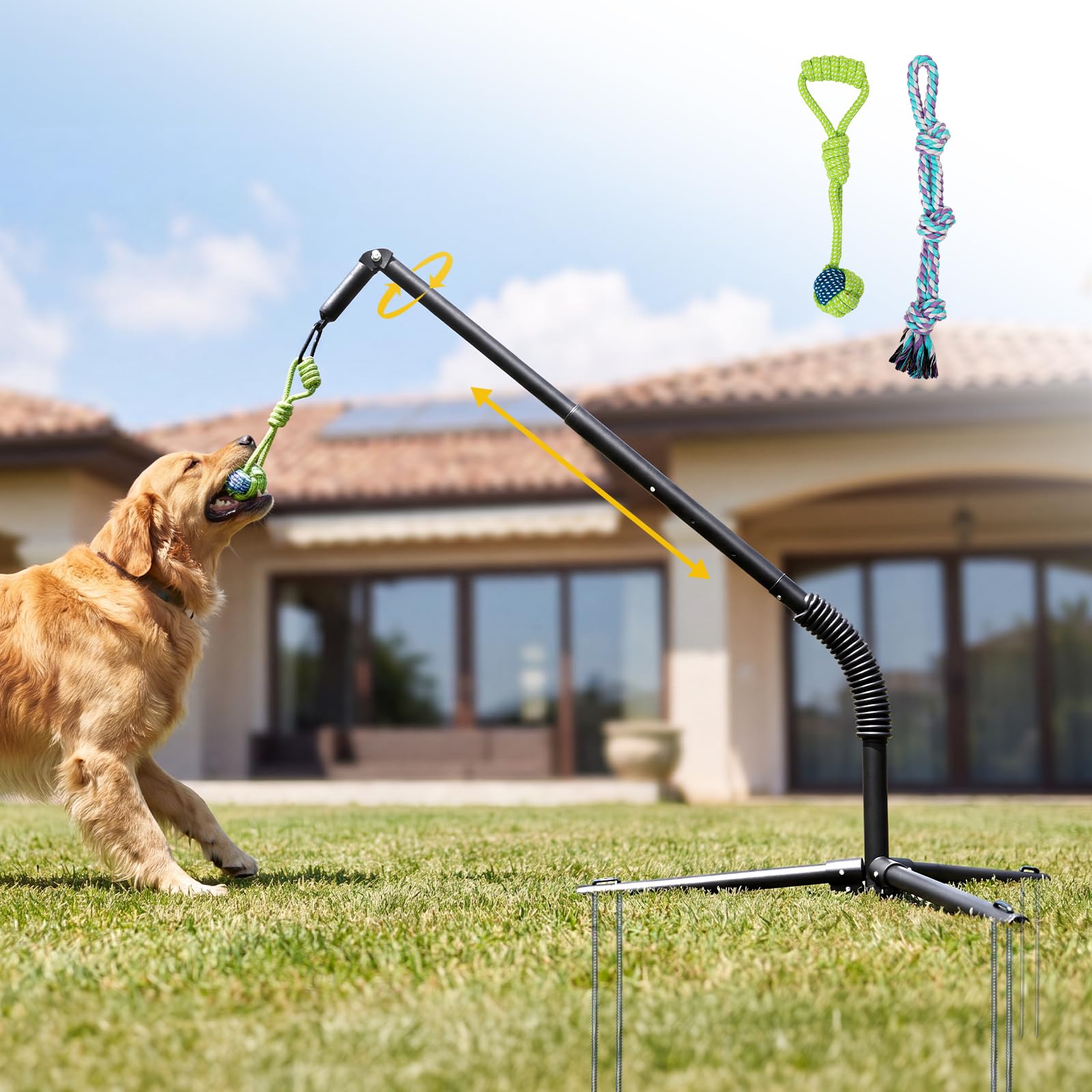CATISM Tether Tug Dog Toy, palo a molla con paletti a terra, 89-122 cm