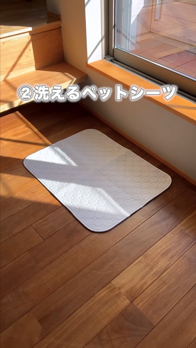 Amazon | INULABO(イヌラボ) 犬 トイレ トレー 高床式 大型犬 中型犬