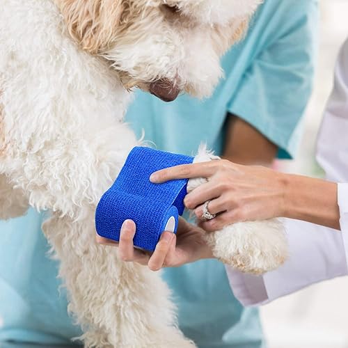 Miniatura 6 de Gsbomzap Paquete de 12 vendajes cohesivos autoadherentes, cinta elástica de primeros auxilios de 5 yardas, envoltura médica para protección