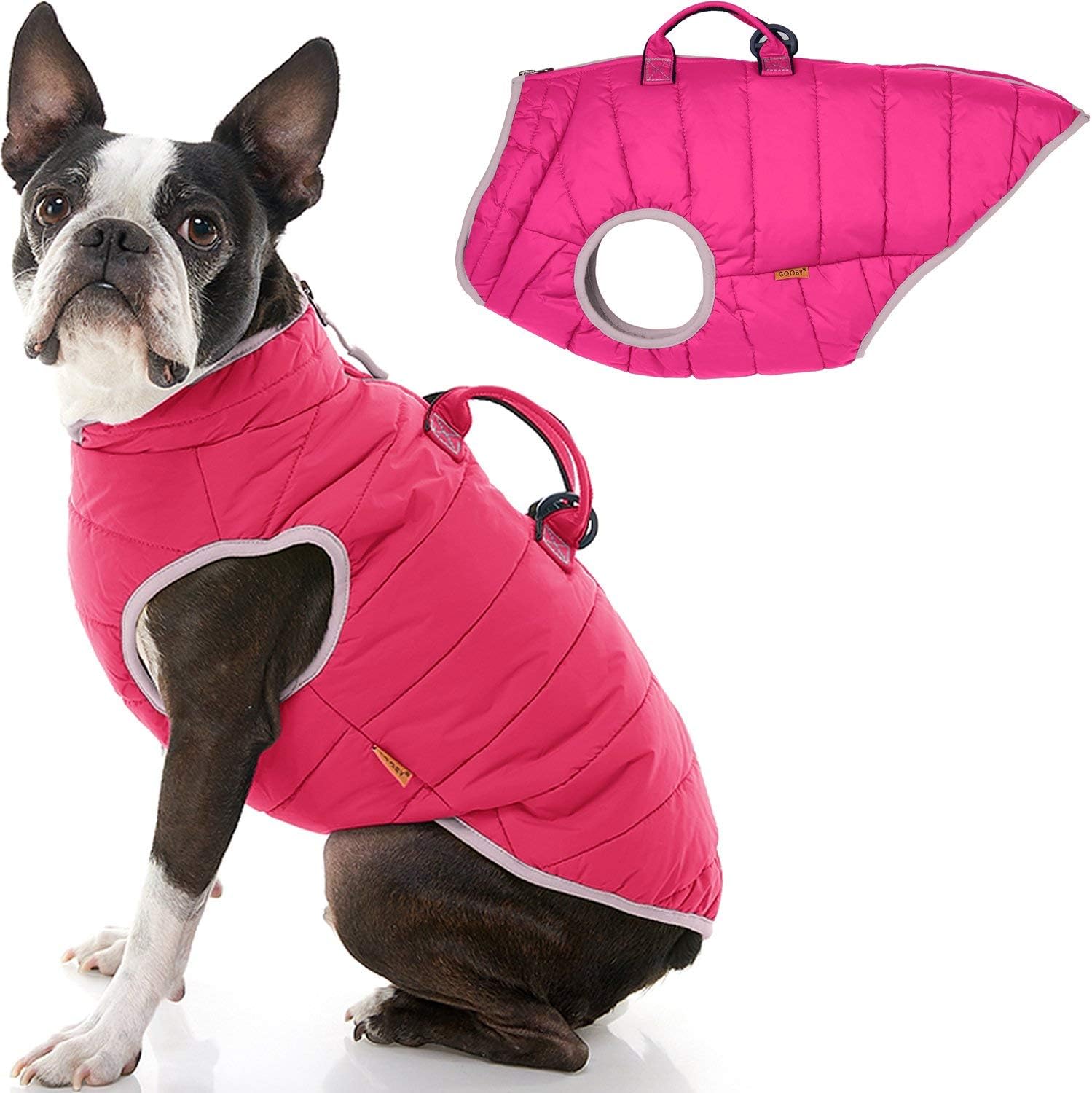 gooby dog jacket