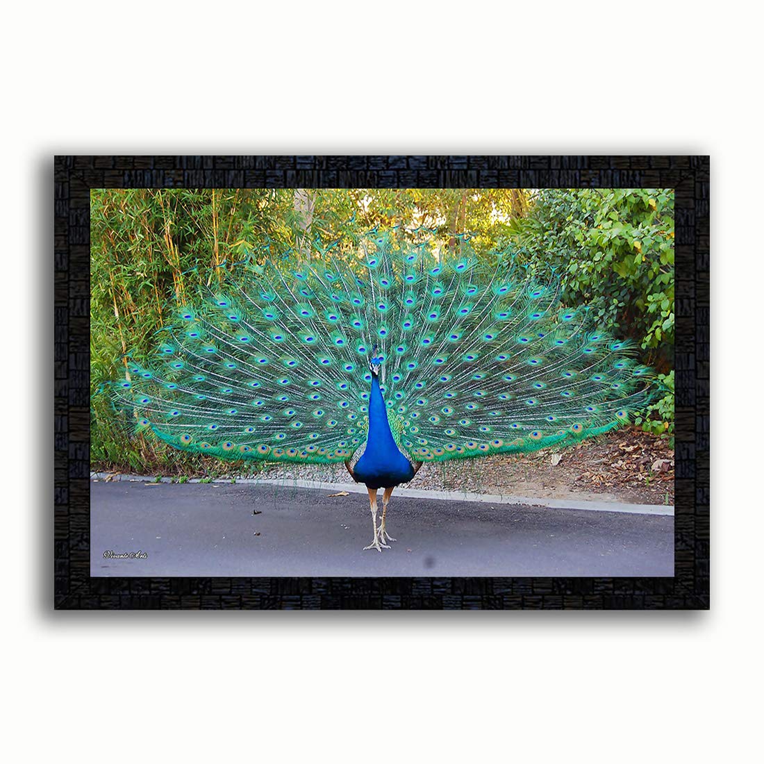 pnf Poster n Frames Peacock Photo Frame|Bedroom, Living Room|Home Decoration & Wall Hanging|Gifting On Occasion|Best Gifting Option(14x20inch,Multicolor,Medium)
