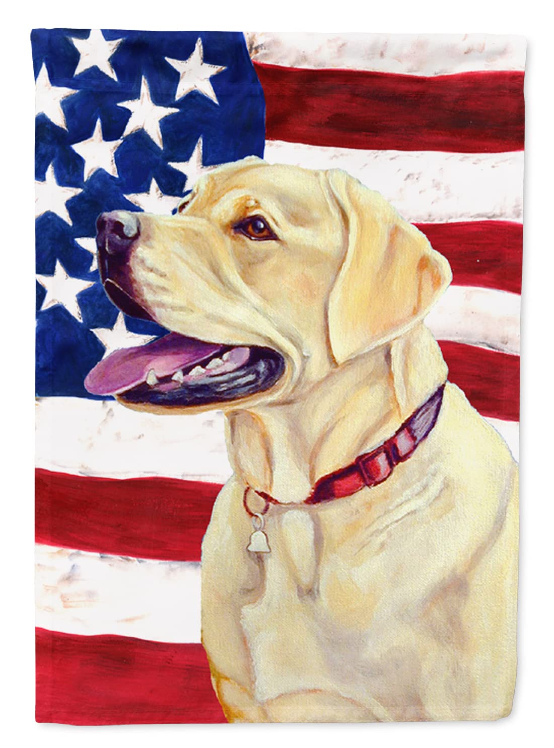 Drapeau Labrador USA American Flag pour grand jardin pavillon de terrasse multicolore LH9008CHF