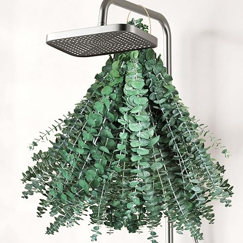 Paquete de 32 piezas de eucalipto seco para ducha, plantas de ducha grandes de 17 pulgadas de eucalipto, hojas de eucalipto reales frescas para