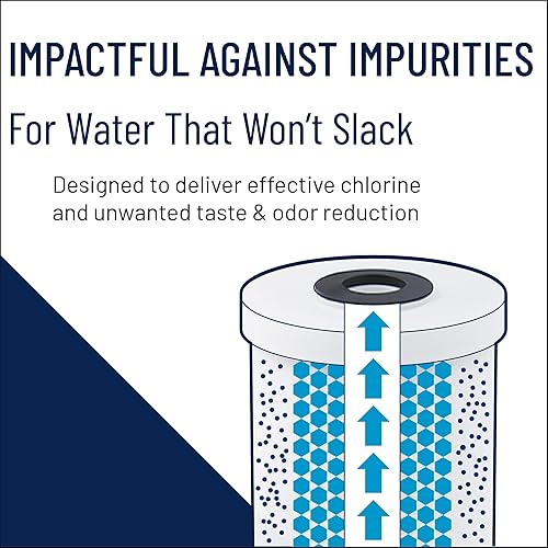 Miniatura 6 de Pentair Pentek GAC-10 - Filtro de agua de carbono, 10 pulgadas, cartucho de repuesto de carbón activado granular (GAC), 10 x 2.5 pulgadas, azul
