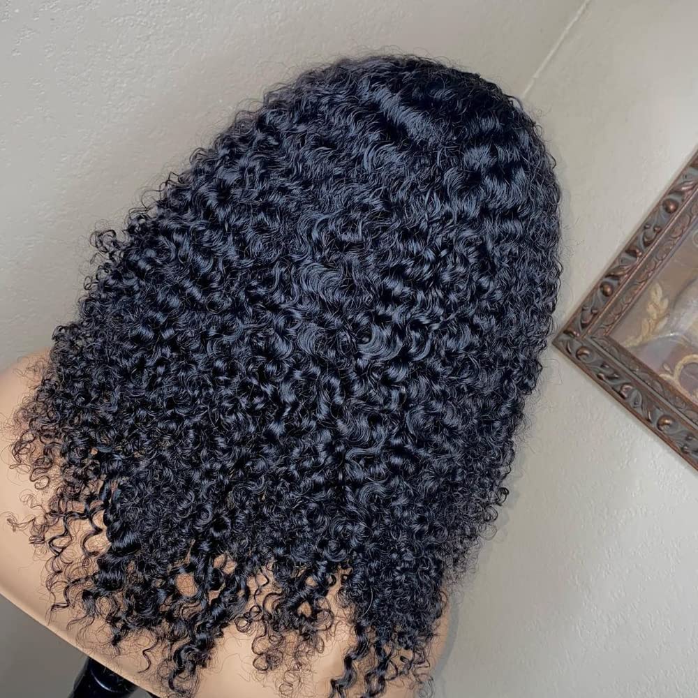 360 Curly Lace Front Wigs Human Hair Pre Plucked Full Lace Frontal Wig High Ponytail Remy Brazilian Kinky Curly Wig For Black Women 16inch