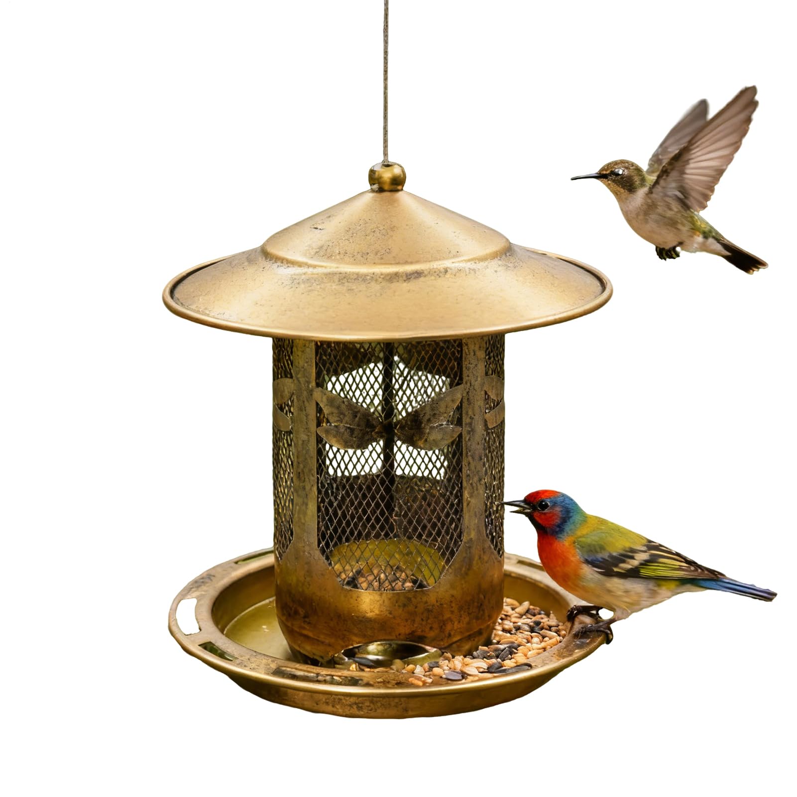 Mangeoires pour oiseaux sauvages au jardin ou sur la terrasse