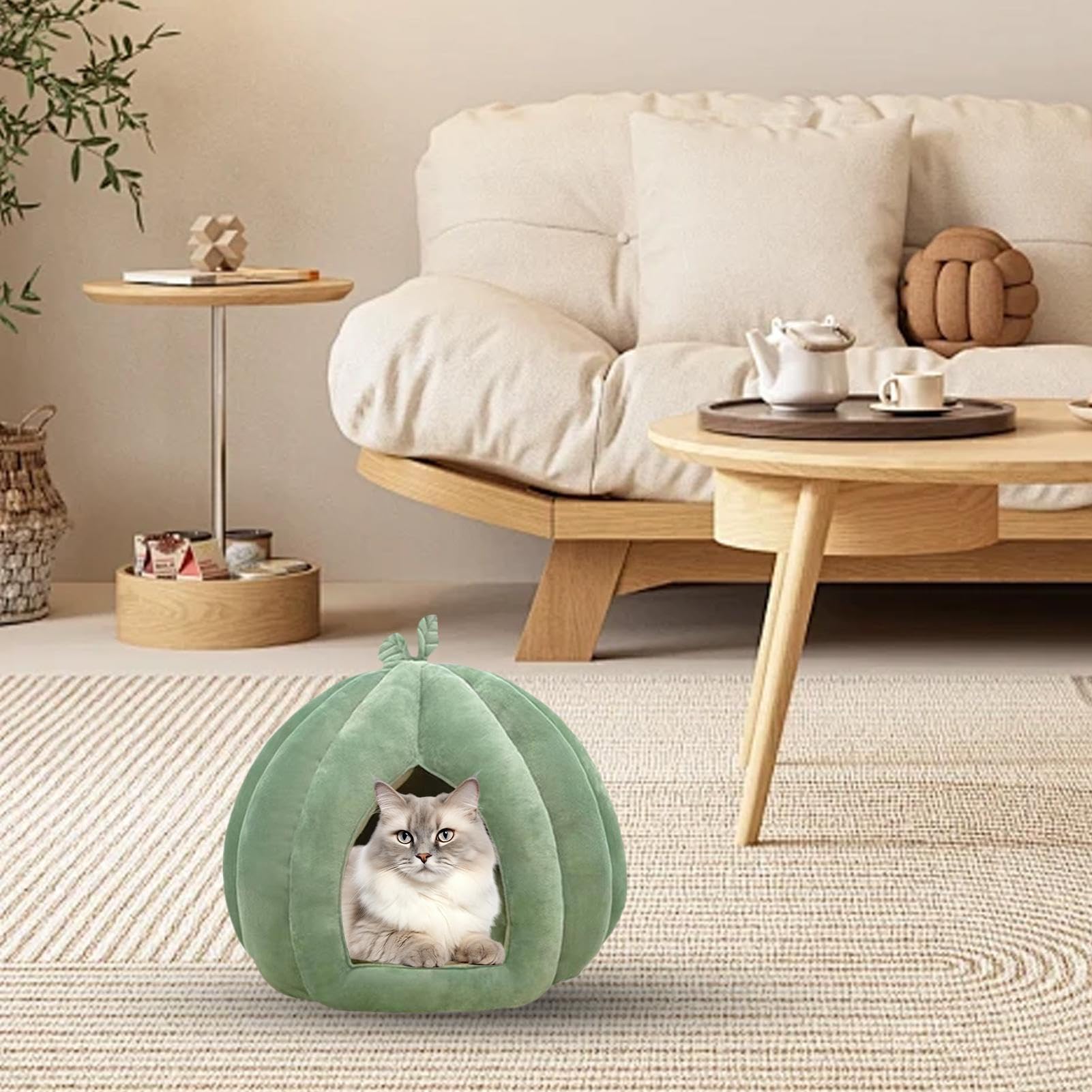 Cuccia per gatti, cuccia per gatti domestici, cuccia per gatti, cuccia chiusa, cuccia per gatti, cuccia per gatti, cuccia per gatti, cuccia per gatti, cuccia per gatti di piccola taglia, inverno, casa