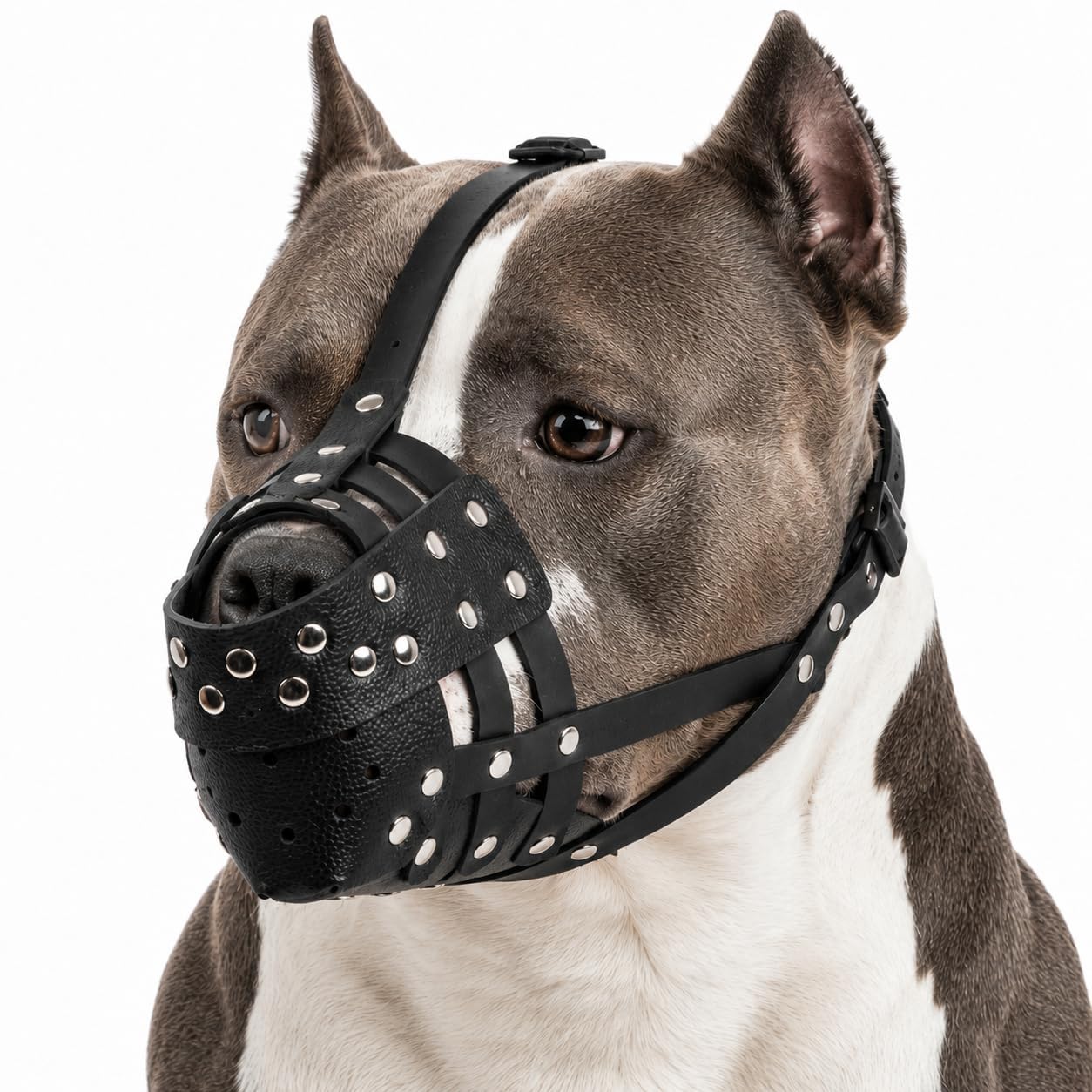 Pitbull Muzzle for Large Dogs, Sturdy Leather Muzzle Anti Biting Scavenging