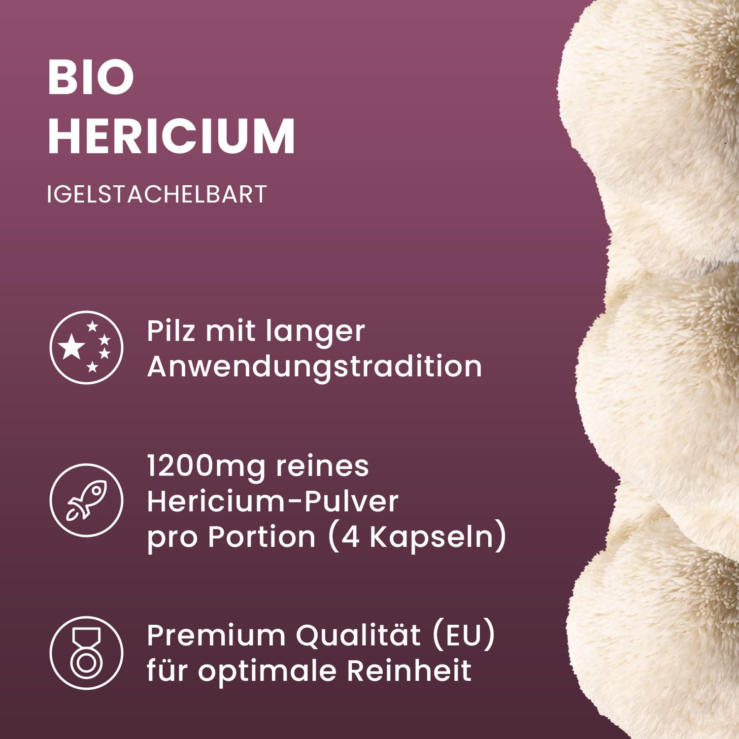 BIO Hericium Kapseln - Löwenmähne, Lions Mane, Igelstachelbart vom ganzen Pilz - Vitalpilz Hericium erinaceus Pilzpulverkapseln ultrafein vermahlen - AT-BIO-701 Bio-Zucht in Österreich - 120 Stk