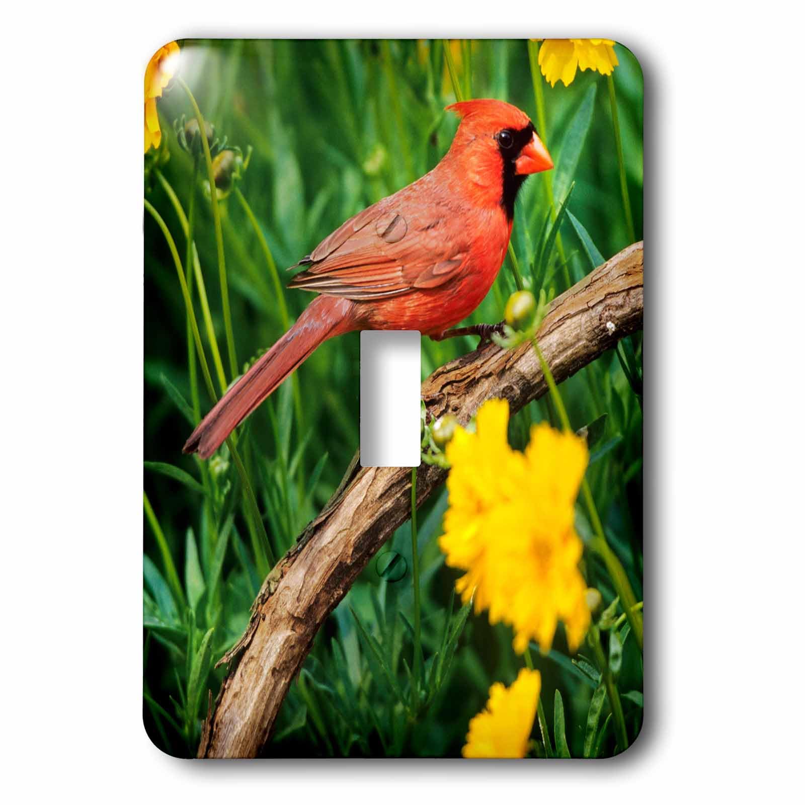 Plaque interrupteur lsp_250895_1 haut de gamme oiseau jardin