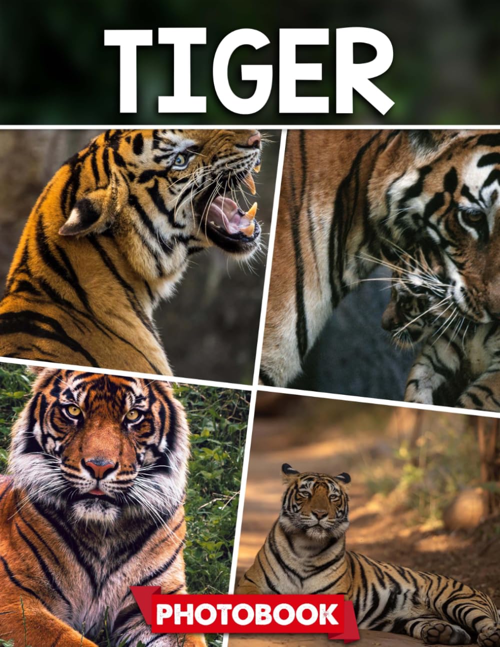 Tiger Photo Book: Striking Tiger Images In Natural Habitat – Picture Collection Perfect For Adults With Dementia And Alzheimer’s Patients