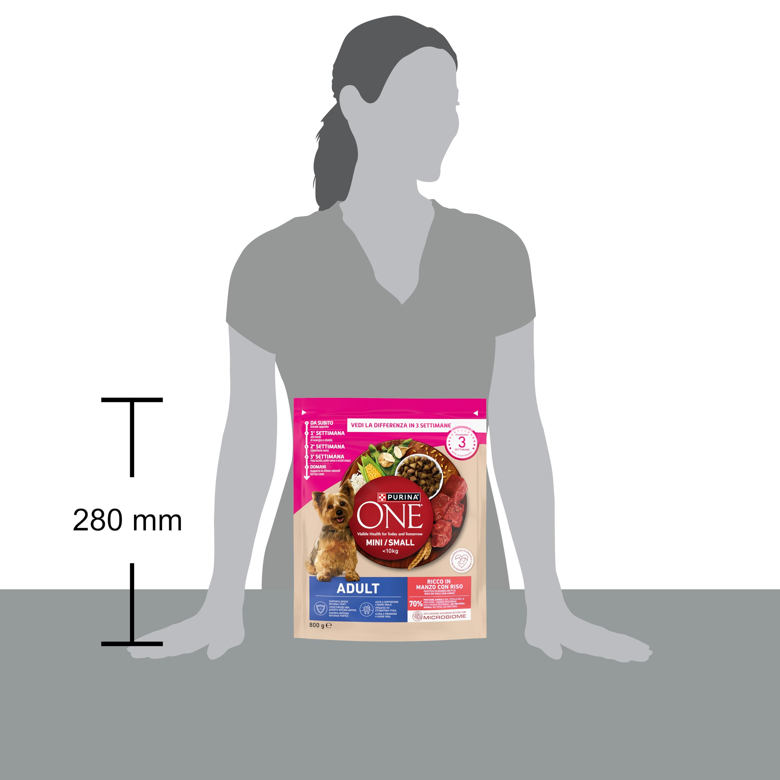 PURINA ONE Mini Small Crocchette per Cani Adulti Ricco in Manzo 8 Sacchi da 800g