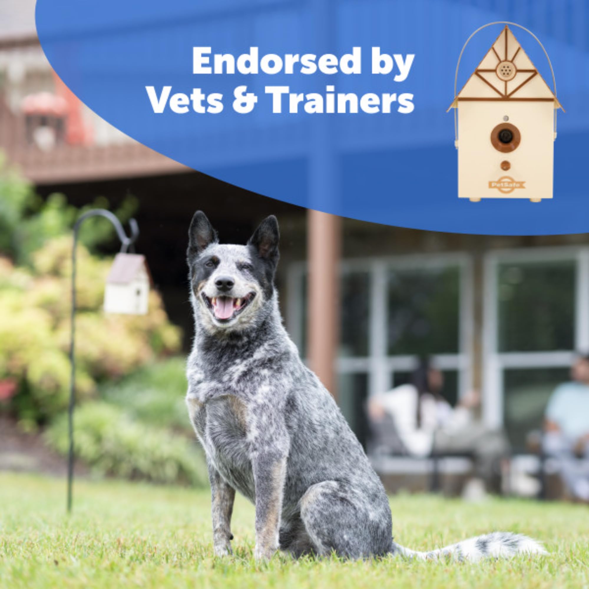 PetSafe Système Anti-Aboiement pour Chien à Ultrasons d’Extérieur Original, Maisonnette à Ultrasons, sans Collier, 15 m de Portée, Durable et Résistant aux Intempéries, pour la Plupart des Chiens