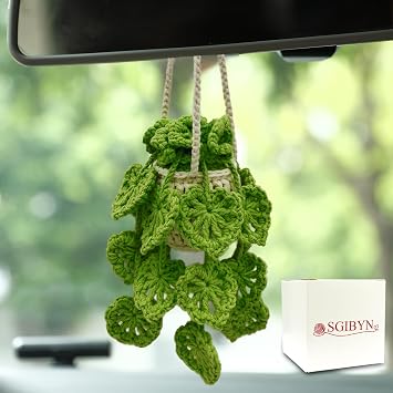 Crochet Hanging Plant for Car,Car Decorations Interior,Plant Aesthetic Car Accessories for Women Interior Cute,Car Ornaments Charms for Rear View Mirror,Boho Car Decoration Gifts