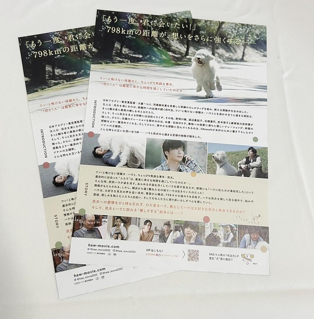 Amazon.co.jp: 映画 ハウ haw 田中圭 池田エライザ ちらし