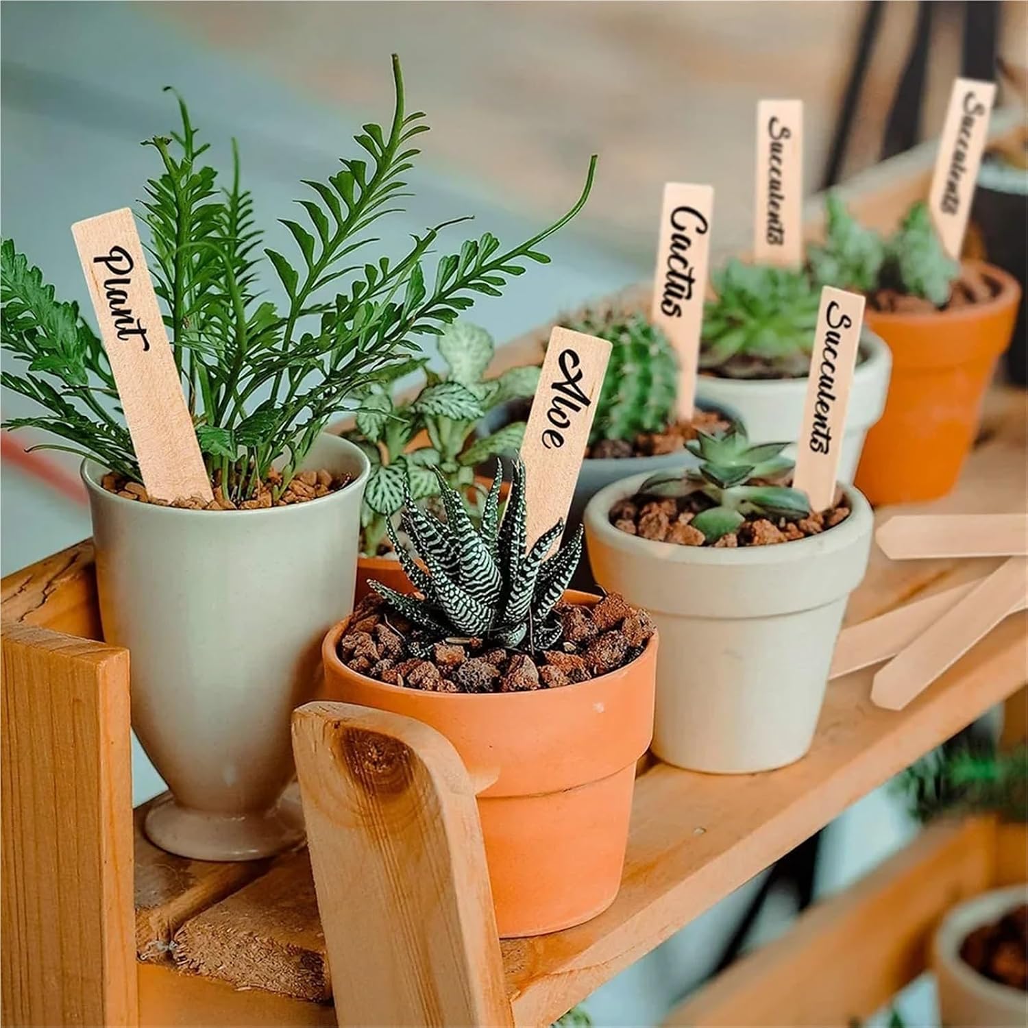 Plant Labels for Outdoor Garden Waterproof 150/200/300pcs Bamboo Plant Labels Wooden Signage Card Tags Garden Markers for Seed Potted Herbs Flowers Vegetables(150pcs)