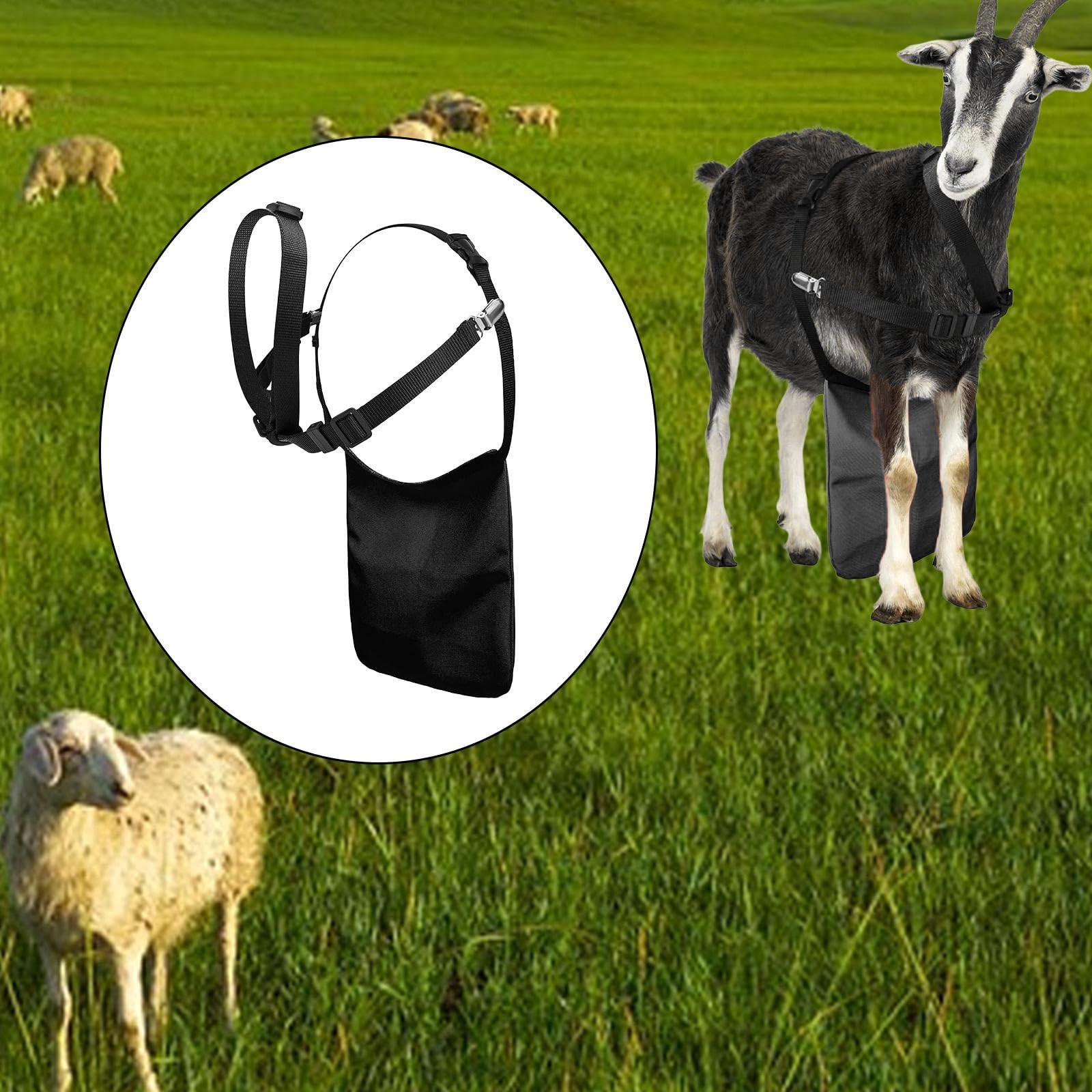 Fenteer Tablier Anti-Reproduction pour chèvres - Accessoire Multifonctionnel - Matériel agricole Pratique et de qualité supérieure - Jupe de contrôle de la