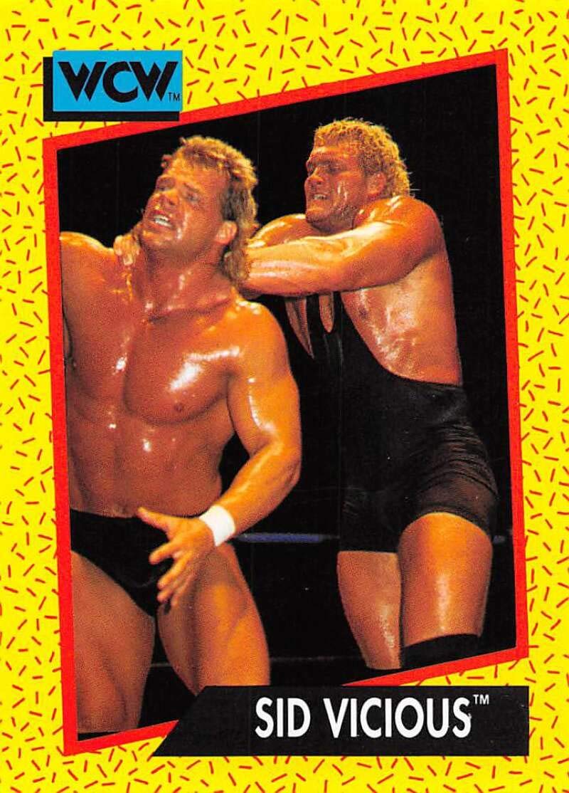 Amazon.com: 1991 Impel WCW Wrestling #34 Sid Vicious Official World  Championship Wrestling Trading Card : Collectibles & Fine Art